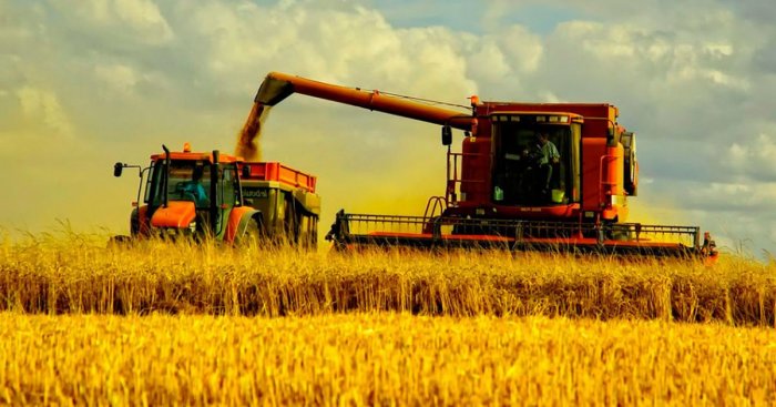 Фирма «1С» обновила ассортимент решений для автоматизации сельхозпредприятий